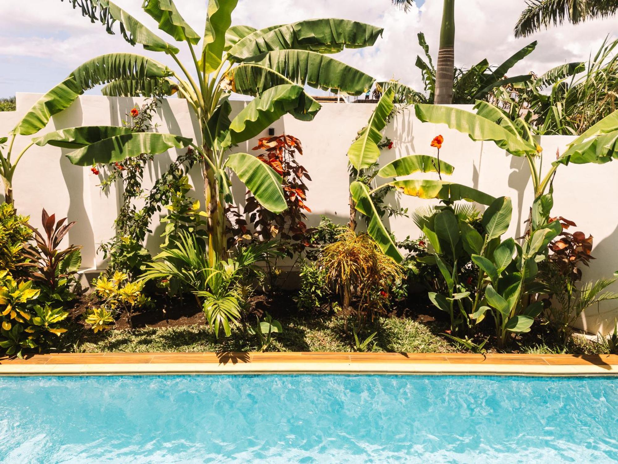 Shivo Paje Villas Esterno foto
